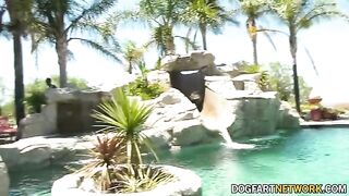 Young brunette Aliya Brynn gets her pussy full of BBCs in a massive interracial blowbang