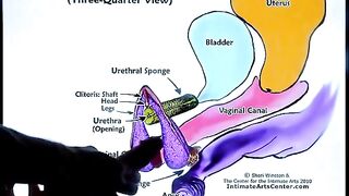How to make a girl squirt? The best tutorial!