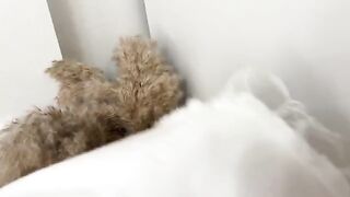 Sniffed panties and fucked curva in a wet pussy by Real Orgasm
