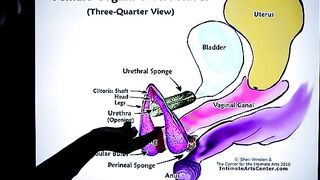 How to Squirt? The ultimate guide by Mr. PussyLicking, featuring his signature intense pussy licking and exploding orgasms that leave viewers in awe