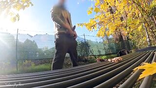 A risky flash in the park turns into a hardcore titty fuck with a busty MILF