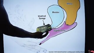 How to Squirt? - The Ultimate Squirt Tutorial by MrPussyLicking