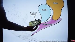 How to Squirt? - The Ultimate Squirt Tutorial by MrPussyLicking