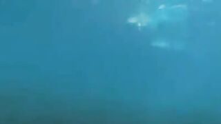 Aqualangists fuck at the depths of the ocean, it's hot!