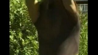 A guy masturbating his big dick in the hayloft