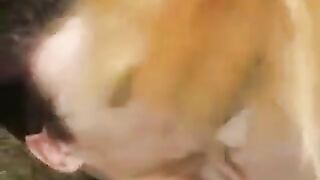 A young slut was caught and sucked off in the park