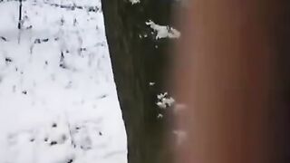 A couple tried to freeze their intimate moment, inspired by the "Freeze" channel's unique twist