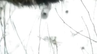 A winter story about a blowjob with a girl in the street - Eporn