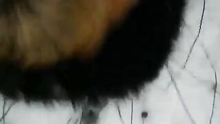 A winter story about a blowjob with a girl in the street - Eporn