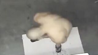 A naked man was filmed in the shower by a hidden camera
