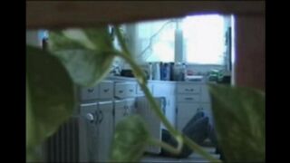 A married couple has no shame and fucks in all rooms of their home