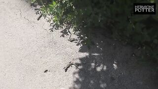 A cute teen tries to make new contacts in her new country of residence