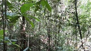 A breath of fresh air and her warm lips on my cock in POV style