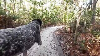 A couple has fun in the Florida jungle in this spicy vid