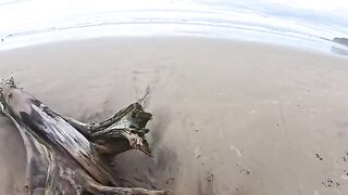 The beach is always humid — from the sea and because of the couple’s passion